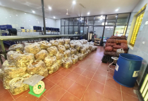 Tinh Dầu Gừng Tươi và Tinh Dầu Gừng truyền thống: Sự Giống và Khác Nhau Về Thành Phần, Mùi Hương và Ứng Dụng