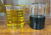 Dầu Mù U và Dầu Mù U Tinh Chế: Sự Khác Biệt và Ứng Dụng Trong Làm Đẹp và Chăm Sóc Da