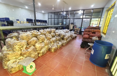 Tinh Dầu Gừng Tươi và Tinh Dầu Gừng truyền thống: Sự Giống và Khác Nhau Về Thành Phần, Mùi Hương và Ứng Dụng