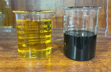 Dầu Mù U và Dầu Mù U Tinh Chế: Sự Khác Biệt và Ứng Dụng Trong Làm Đẹp và Chăm Sóc Da