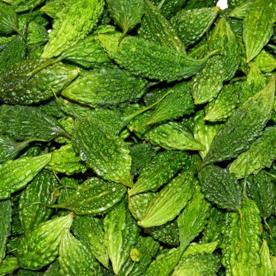 Khổ qua rừng tươi